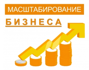 МАСШТАБИРОВАНИЕ БИЗНЕСА